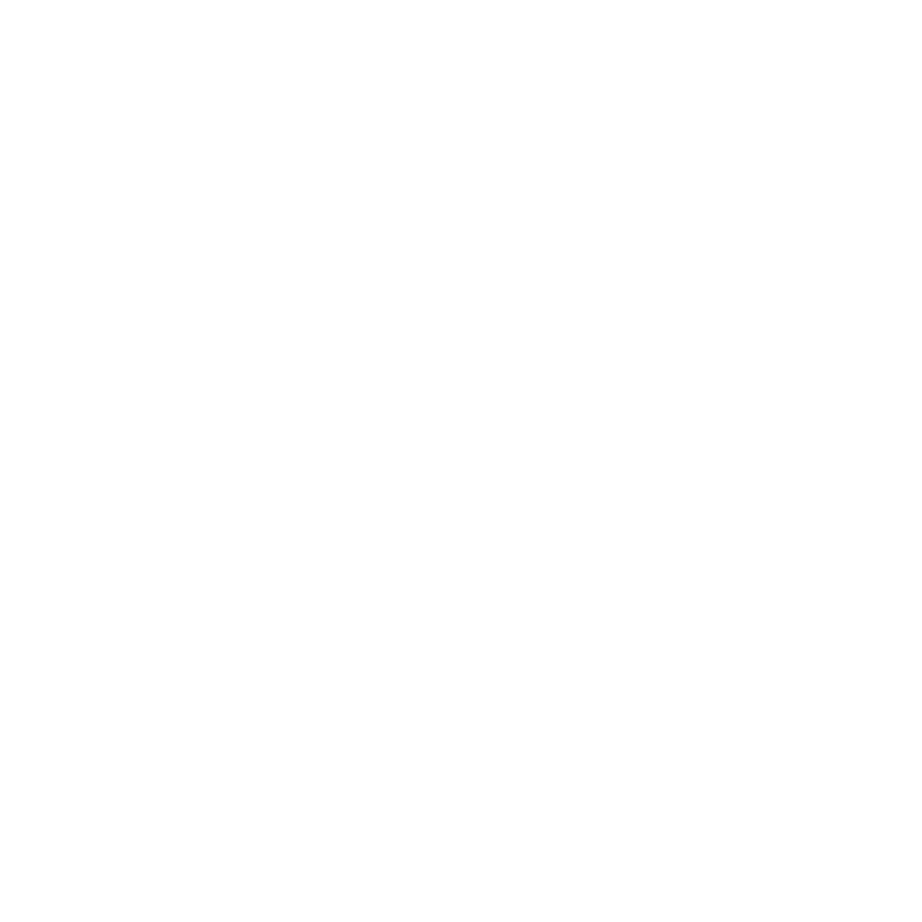 Social Icon