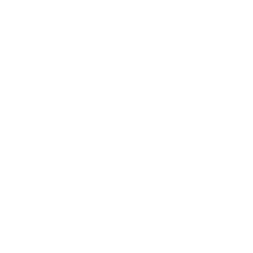 Performance Icon